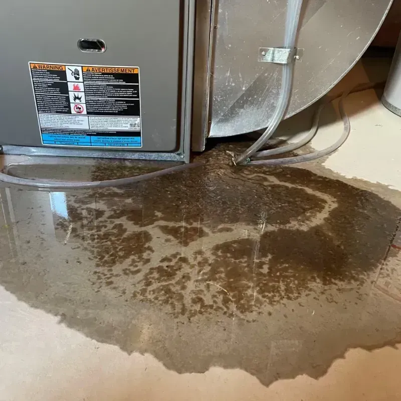 Appliance Leak Cleanup in Floresville, TX